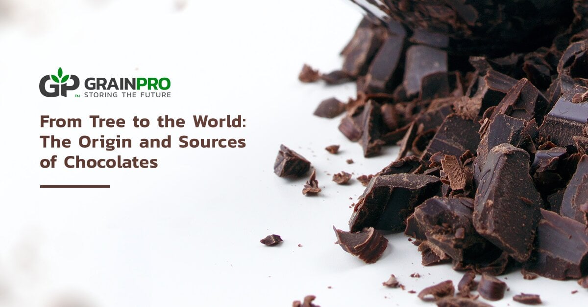From Tree to the World The Origin and Sources of Chocolates